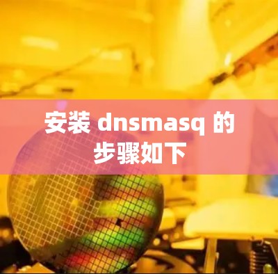 安装 dnsmasq 的步骤如下