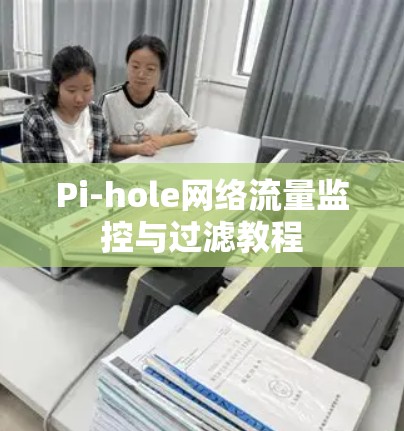 Pi-hole网络流量监控与过滤教程 Pi-hole网络流量监控与过滤教程