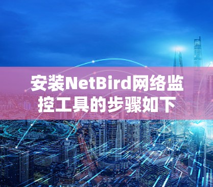 安装NetBird网络监控工具的步骤如下 安装NetBird网络监控工具的步骤如下