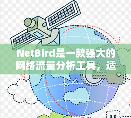 NetBird是一款强大的网络流量分析工具，适用于数据科学和网络管理领域。以下是使用NetBird的分步指南
