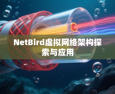 NetBird虚拟网络架构探索与应用