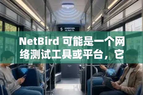 NetBird 可能是一个网络测试工具或平台，它用于测试网络连接的性能、稳定性或其他相关属性。以下是一些可能的方法或步骤，帮助你进行 NetBird 连接测试