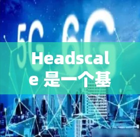 Headscale 是一个基于区块链技术的私有化网络解决方案，允许用户创建和管理自己的私有区块链网络。它支持多种加密货币，如比特币和以太坊，并提供了一种安全的去中心化解决方案