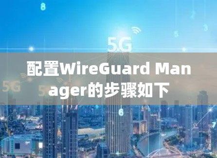 配置WireGuard Manager的步骤如下