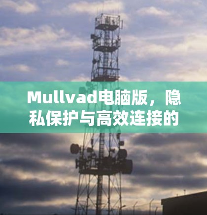 Mullvad电脑版，隐私保护与高效连接的双重保障