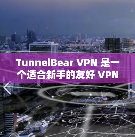 TunnelBear VPN 是一个适合新手的友好 VPN 服务，提供了多平台支持、全球服务器分布和简单易用的界面。以下是对 TunnelBear 的详细分析和总结