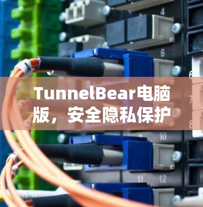 TunnelBear电脑版,安全隐私保护的高效网络解决方案