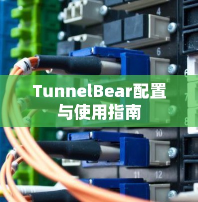 TunnelBear配置与使用指南