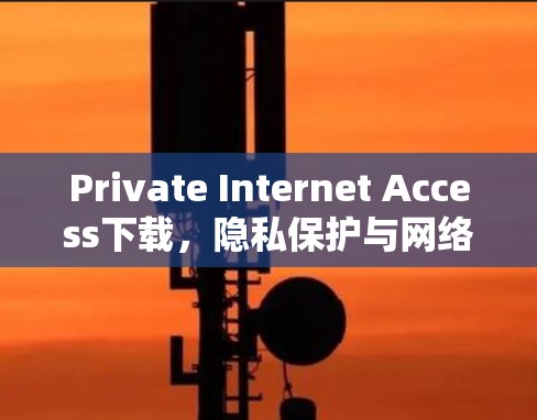 Private Internet Access下载，隐私保护与网络安全的解决方案