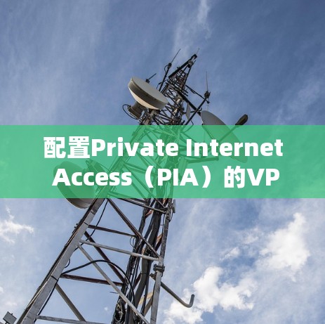 配置Private Internet Access（PIA）的VPN服务步骤如下