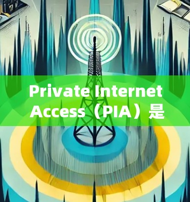 Private Internet Access（PIA）是一个强大的VPN服务，旨在保护用户的网络隐私和安全。以下是使用PIA的详细步骤指南