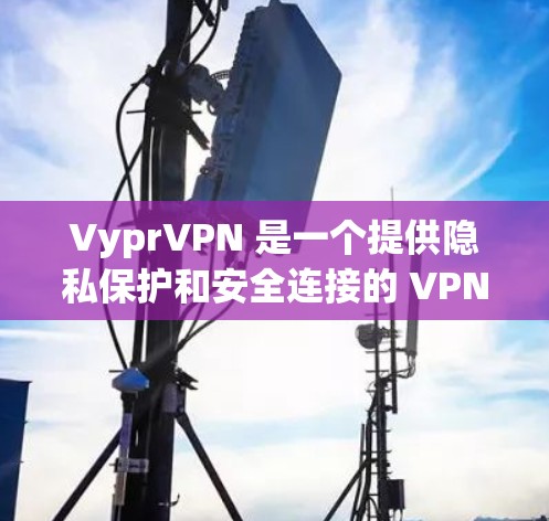 VyprVPN 是一个提供隐私保护和安全连接的 VPN 服务，下面是下载步骤