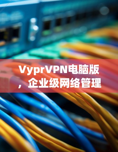 VyprVPN电脑版,企业级网络管理与安全解决方案