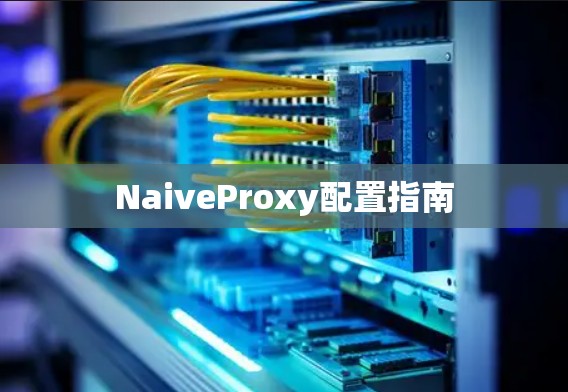 NaiveProxy配置指南 NaiveProxy配置指南