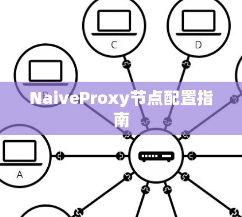 NaiveProxy节点配置指南