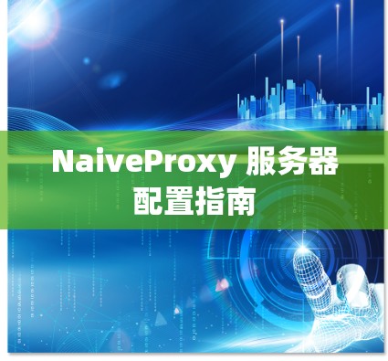 NaiveProxy 服务器配置指南