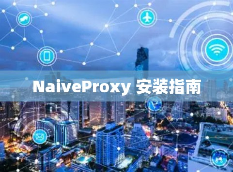 NaiveProxy 安装指南