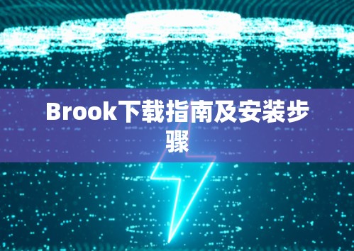 Brook下载指南及安装步骤 Brook下载指南及安装步骤