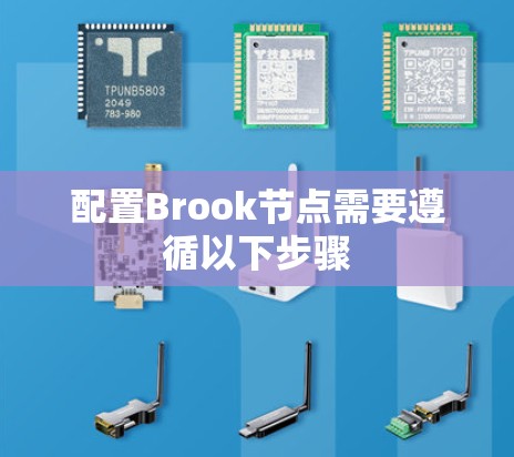 配置Brook节点需要遵循以下步骤