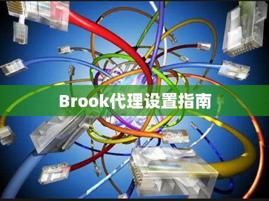 Brook代理设置指南 Brook代理设置指南