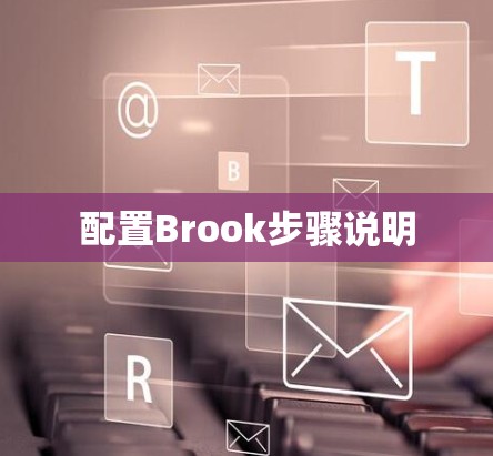 配置Brook步骤说明
