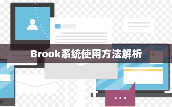 Brook系统使用方法解析