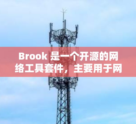 Brook 是一个开源的网络工具套件，主要用于网络安全测试、资产发现和管理。以下是 Brook 的详细介绍