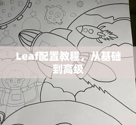 Leaf配置教程,从基础到高级