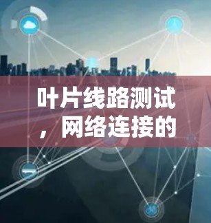 叶片线路测试,网络连接的关键环节