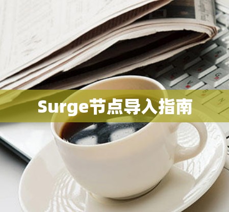 Surge节点导入指南