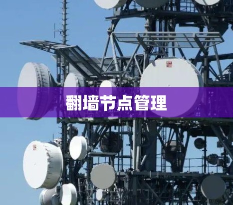 翻墙节点管理