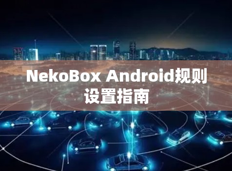 NekoBox Android规则设置指南 NekoBox Android规则设置指南