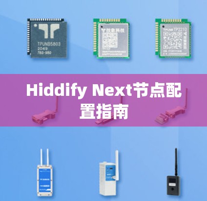 Hiddify Next节点配置指南