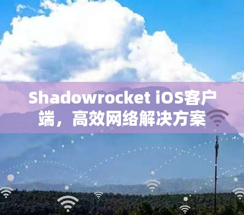 Shadowrocket iOS客户端,高效网络解决方案