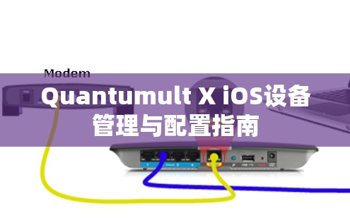 Quantumult X iOS设备管理与配置指南
