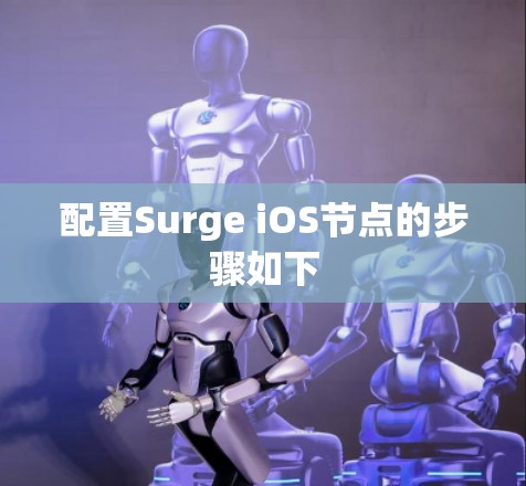 配置Surge iOS节点的步骤如下