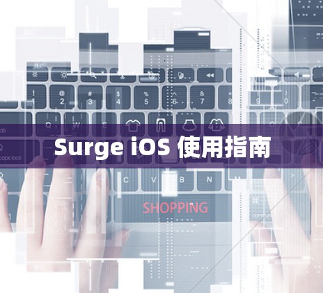 Surge iOS 使用指南