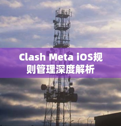 Clash Meta iOS规则管理深度解析