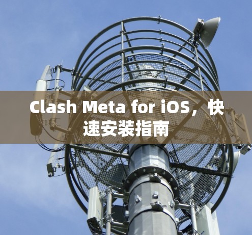 Clash Meta for iOS,快速安装指南