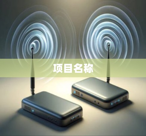 项目名称