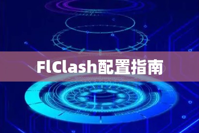 FlClash配置指南
