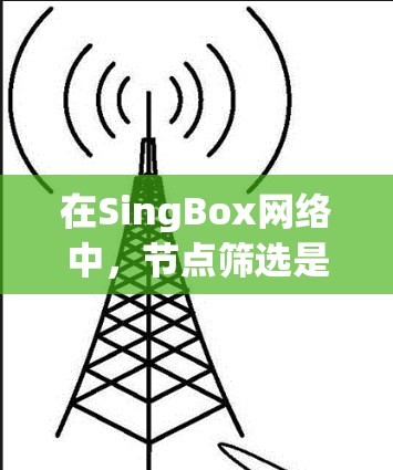 在SingBox网络中，节点筛选是通过特定的过滤条件来选择符合需求的节点，以优化网络性能或满足特定功能需求。以下是详细的步骤和方法