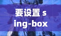 要设置 sing-box 服务器，首先需要确保环境准备好的。以下是详细的步骤说明