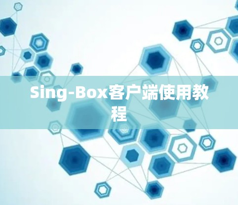 Sing-Box客户端使用教程