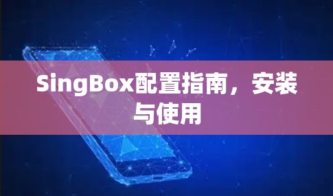 SingBox配置指南，安装与使用