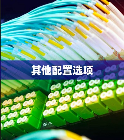 其他配置选项