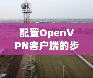 配置OpenVPN客户端的步骤如下 配置OpenVPN客户端的步骤如下
