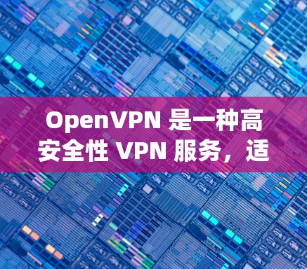 OpenVPN 是一种高安全性 VPN 服务，适合保护隐私和安全，访问受限网络。以下是使用 OpenVPN 的步骤指南