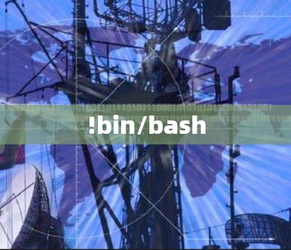 !bin/bash