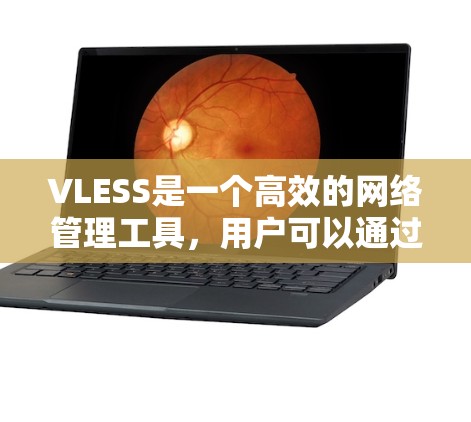 VLESS是一个高效的网络管理工具,用户可以通过它设置各种规则来管理网络访问、限制某些网站的访问、控制上网时间等。以下是一些常见的VLESS规则设置方法和示例,帮助你更好地管理网络 VLESS是一个高效的网络管理工具,用户可以通过它设置各种规则来管理网络访问、限制某些网站的访问、控制上网时间等。以下是一些常见的VLESS规则设置方法和示例,帮助你更好地管理网络